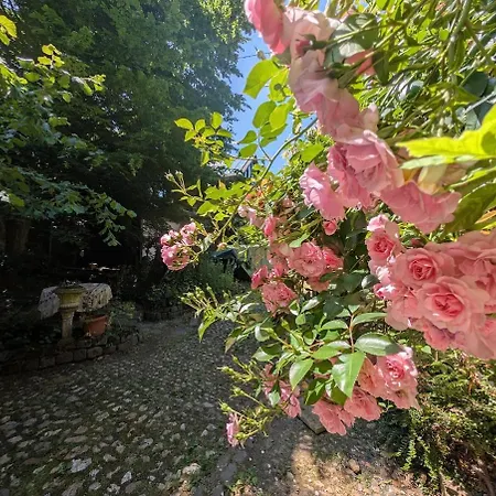 Hof Der Moeglichkeiten - Eifel *
