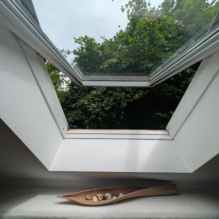 Hof Der Moeglichkeiten - Eifel Apartman Roes